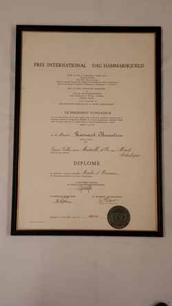 Dag Hammarskjoeld Prize Diploma