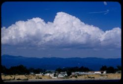 Great white cloud above Santa Cruz Mts. N.E. of Santa Cruz Contax IIa