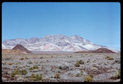 Rock candy mountain 24 mi. west of Tonopah, Nevada.