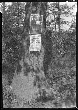 Signs on tree, game preserve