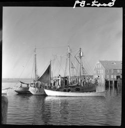 Harbor of Provincetown