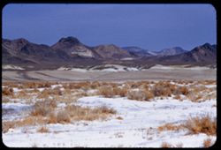 Alkali beds south of Shoshone, Inyo Co. Greenwater mtns. in background