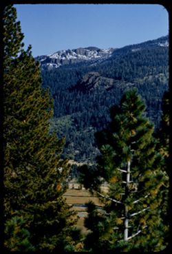 View E S E toward Cary peak from Calif. 89 near El Dorado - Alpine co. line