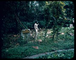 Man looking over a cleared plot in forest