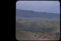 View east from summit of Pacheco Pass