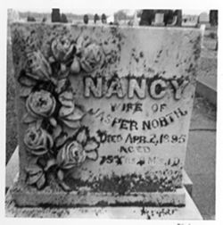 Roses Nancy