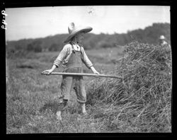 Amos Wilkerson, making hay