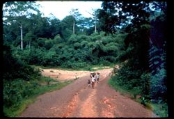 Women carrying head loads along road