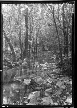 Creek on Steele birthplace, near Gosport