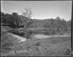Views in state park (orig. neg.)