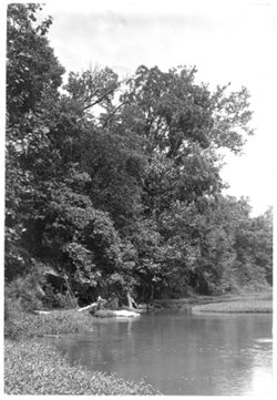 Muscatatuck River, in Muscatatuck State Park, Jennings County