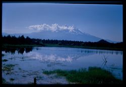 Mount Shasta with cloud cap in morning from n.w. Cushman