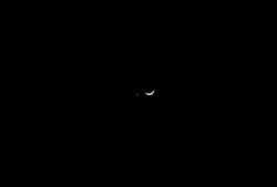 Venus nears Luna 8:55 PM Cushman