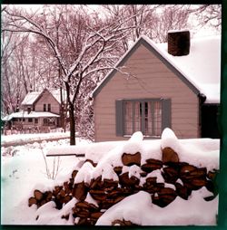 Snow-covered woodpile with houses and trees, winter