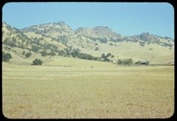 View north toward a row of Sutter Buttes. Sutter co., California.