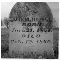 Dove - Leaves Howell