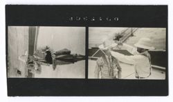 Item 0348. 2 contact prints on a strip.