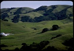 marin county dairy country 7 or 8 miles southwest of Petaluma
