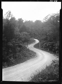 Roadway near Wyandotte cave--"S"