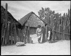 Home near Mitla, with organ cactus fence