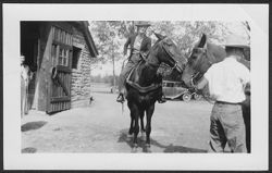 Martha Carmichael riding a horse at Brown County State Park.