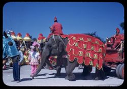 Ringling Circus Caparisoned Elephant