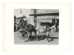 Tanga (Indian horse-drawn carriage)