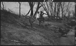 Boys on tree, swaying, April 7, 1912, Easter