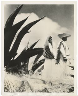 Item 0213. Medium shot of "Maria" and "Sebastian" in profile, standing beside large maguey plant.