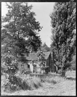 Log cabin with Lombardy poplars, Lick Creek road, more foliage
