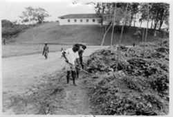 Men working clearing vegetation along road