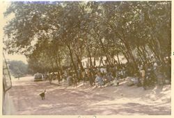 Payday market under trees at Cavalla