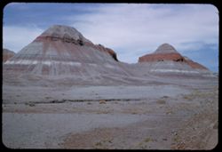 The Haystacks Petrified Forest National Monument