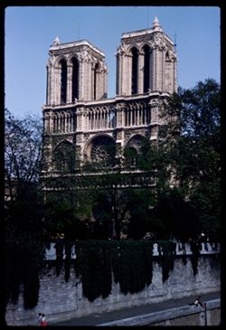 Notre Dame de Paris from Petit Pont