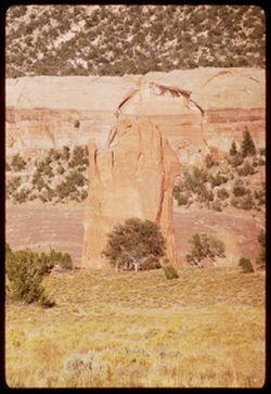 Pink slab.  Navajo country along Ariz.-N. Mex. line.