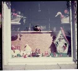 Shop window, The Original Curio Shop