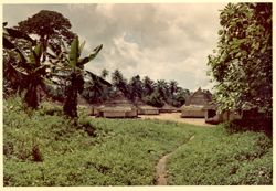 Village of mud houses