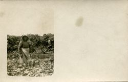 African-American woman in garden