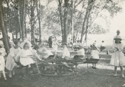 Group picnic