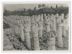 Item 0163. Colonnade beside the Temple of the Warriors. Trees and brush-covered mounds in background.