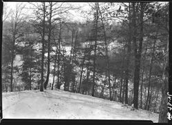 View from Ida Anderson cabin, Jackson Branch