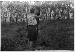 Hilda McEvoy tapping rubber at Cavalla, Division 2