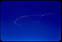 Flight of birds near Mono Lake