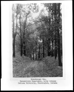 Trees and trail