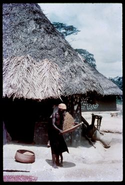 Fanning rice