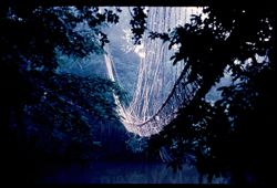 Monkey bridge over the St. Paul River