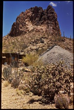 in Tucson Mtn. Foothills Old Mine