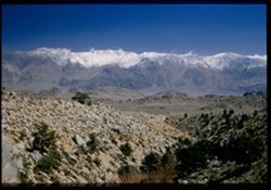 Owens Valley from Mt. Whitney Road toward Inyo Mtns.  California.
