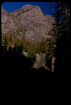 View ahead toward summit of 9624 ft. Sonora Pass from Hwy 108 at 8000 ft. elev. a few miles west of summit. Tuolumne county - California.