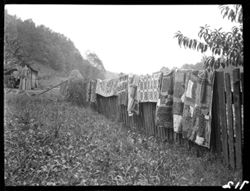 Quilts on line at Stephens